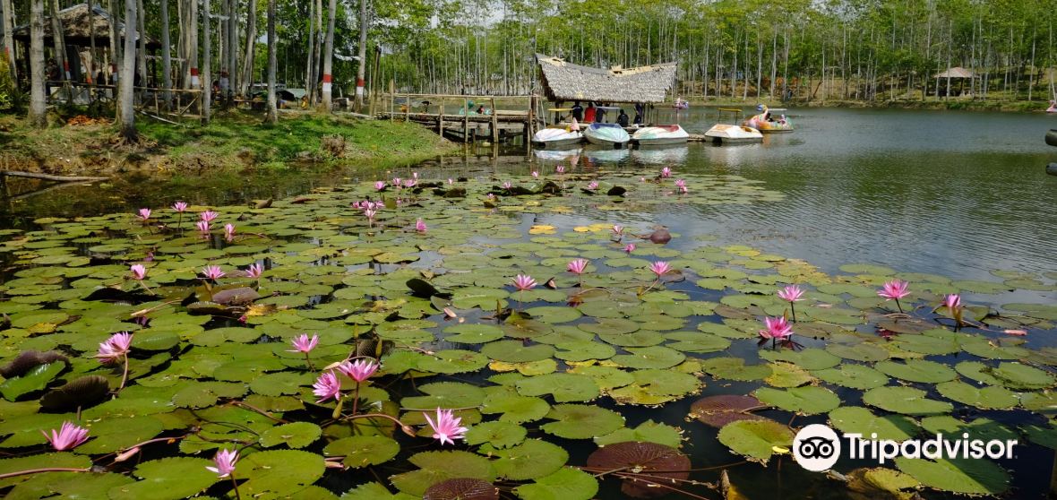 Mengenal Wisata Seru di Kawunganten: Trevel Bojong Menyuguhkan Pengalaman Baru